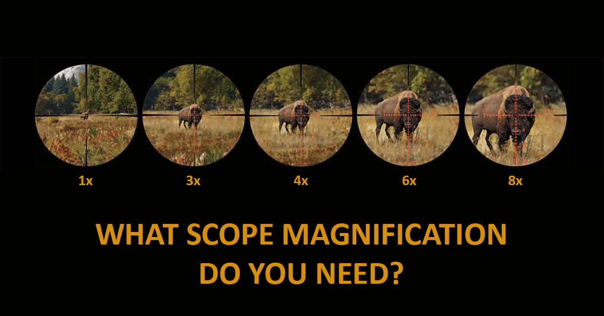 What Scope Magnification Do You Need? The Ultimate Guide